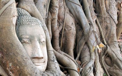 Visiter ayutthaya en 1 jour depuis Bangkok